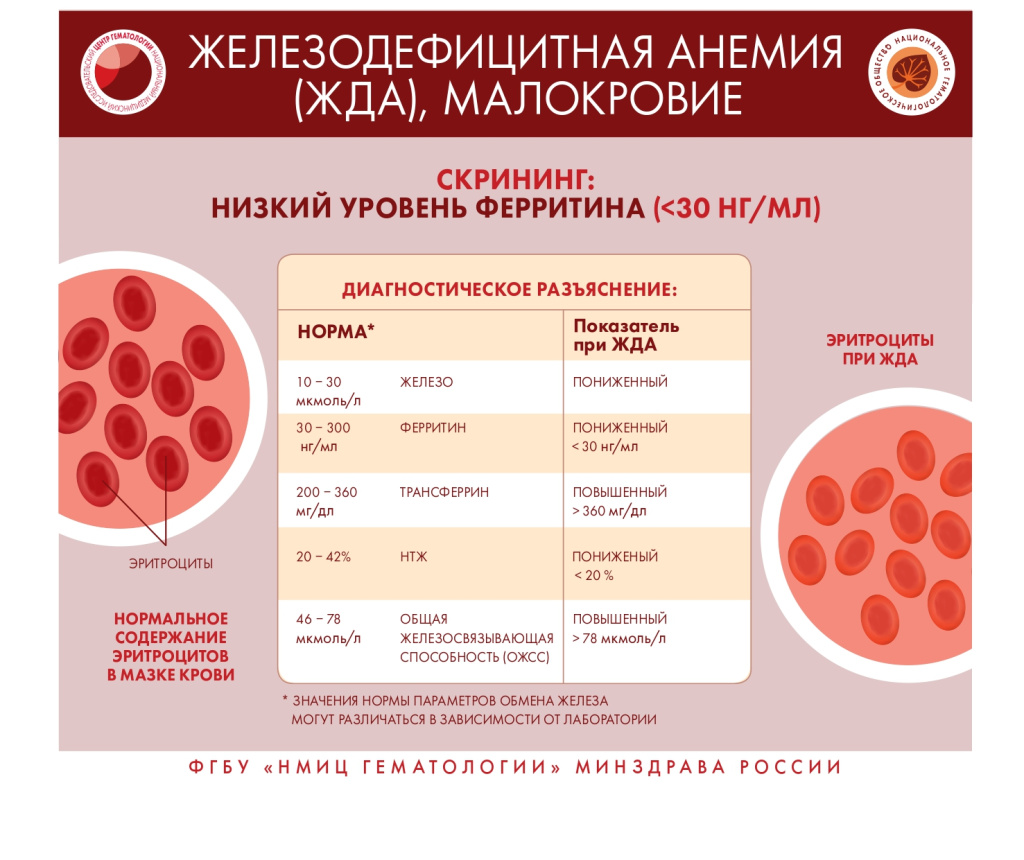кровь 7.jpg